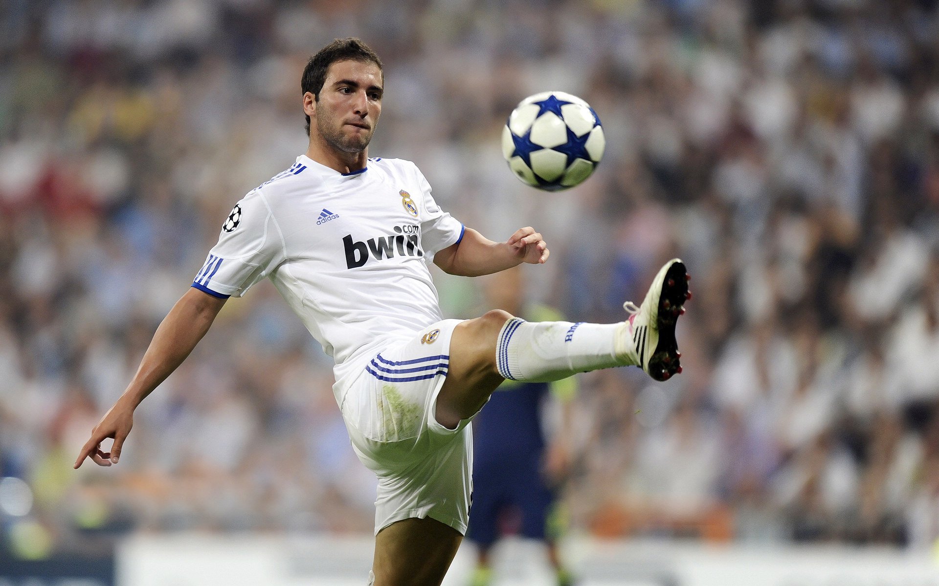 kaiyun-大屏幕上的欢呼声：欧冠夜晚的狂热心情